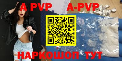 тгк Новозыбков
