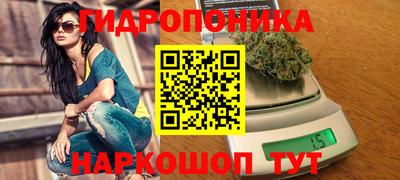 дурь Новодвинск