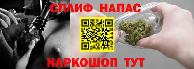тгк Новозыбков