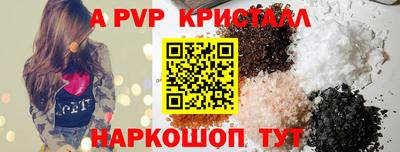 тгк Новозыбков