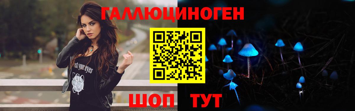 Унеча  купить закладку  Вход с VPN  Псилоцибиновые грибы Cubensis 